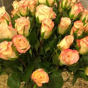 Meet your Posher, Jamie